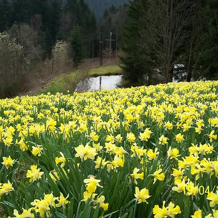 펜션 Chaleureux Avec Terrasse Privee A - Fr-1-589-159 *