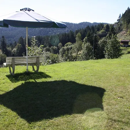 Chaleureux Avec Terrasse Privée à - Fr-1-589-159 * Gérardmer