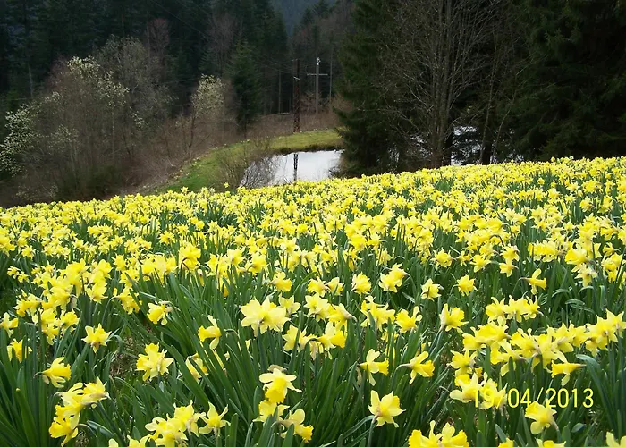 펜션 Chaleureux Avec Terrasse Privee A - Fr-1-589-159 *